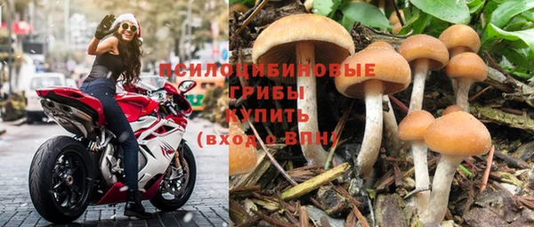ГАЛЛЮЦИНОГЕННЫЕ ГРИБЫ Беломорск