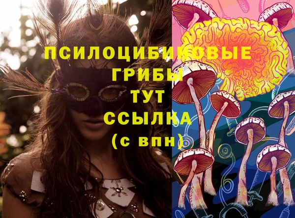 ГАЛЛЮЦИНОГЕННЫЕ ГРИБЫ Беломорск