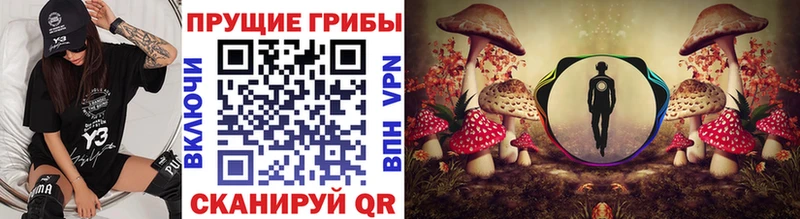 Псилоцибиновые грибы MAGIC MUSHROOMS Железноводск